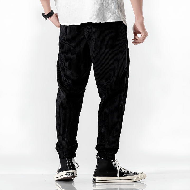 Ramiro | Pantalons en velours modernes
